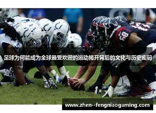 足球为何能成为全球最受欢迎的运动揭开背后的文化与历史密码