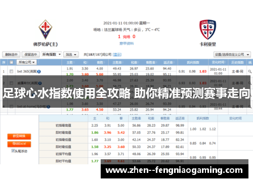 足球心水指数使用全攻略 助你精准预测赛事走向 足球心水指数使用全攻略 助你精准预测赛事走向