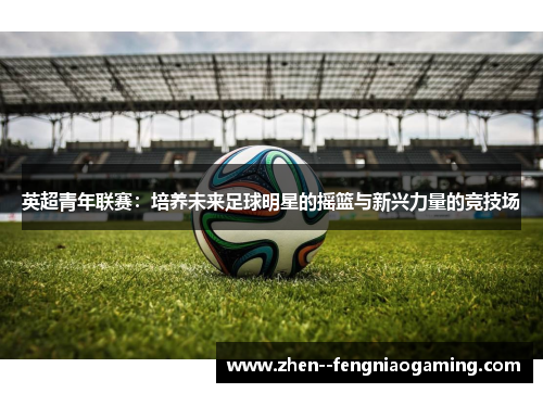英超青年联赛：培养未来足球明星的摇篮与新兴力量的竞技场
