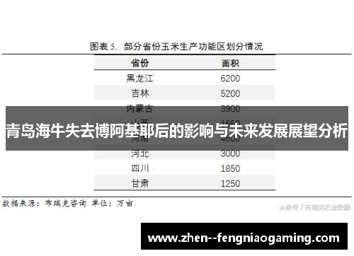 青岛海牛失去博阿基耶后的影响与未来发展展望分析